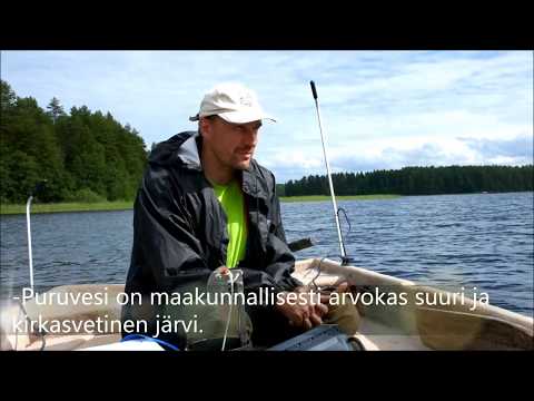 Puruvesi on Etelä-Savon vesienhoidon kärkihanke
