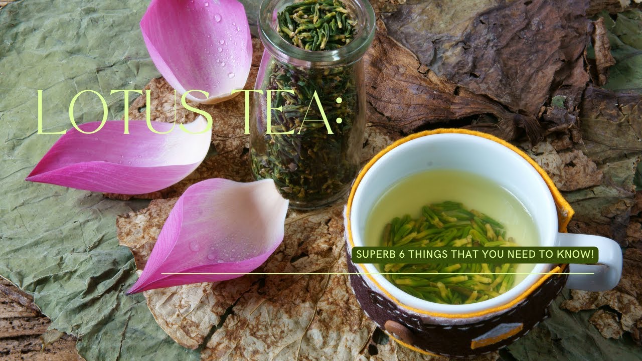 When should I drink lotus leaf tea? Life Set Go