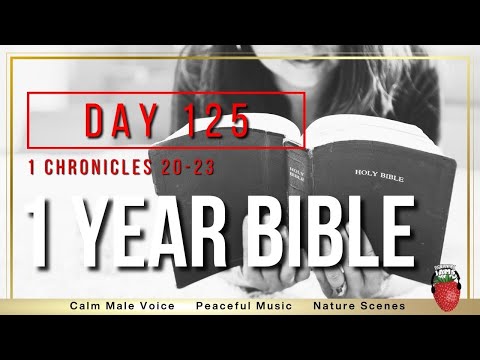 Day 125 | 1st Chronicles 20 - 23 |  Audio Bible | NIV One Year Bible