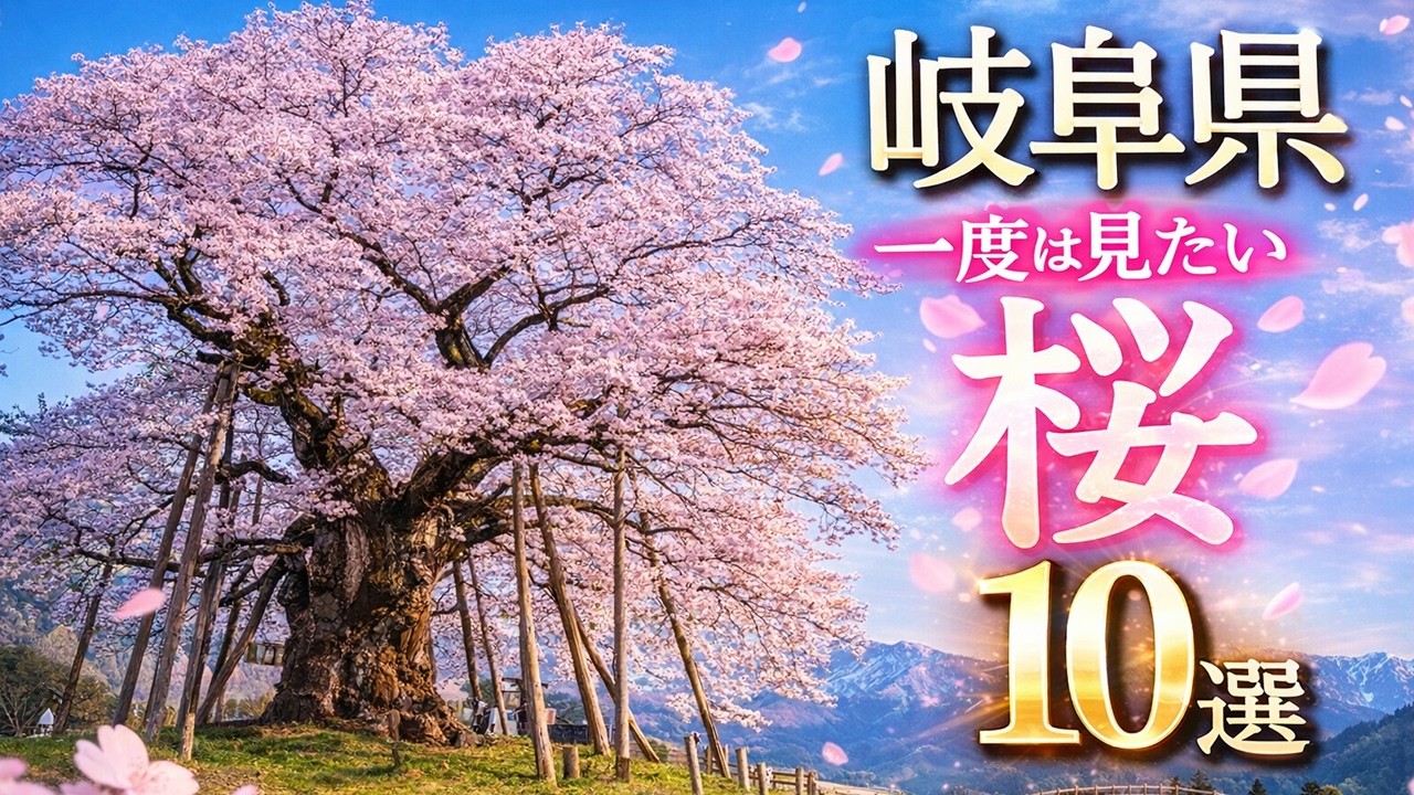 【4K 岐阜の桜絶景10選】日本さくら名所100選｜根尾谷淡墨・新境川堤・霞間ヶ渓・墨俣一夜城 ・ 養老公園・荘川桜