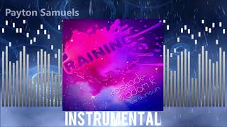 Kaskade &amp; Adam K ft. SunSun - Raining (Instrumental)