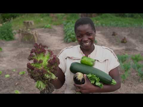 Vegetable Garden - Olakira Camp, Asilia Africa