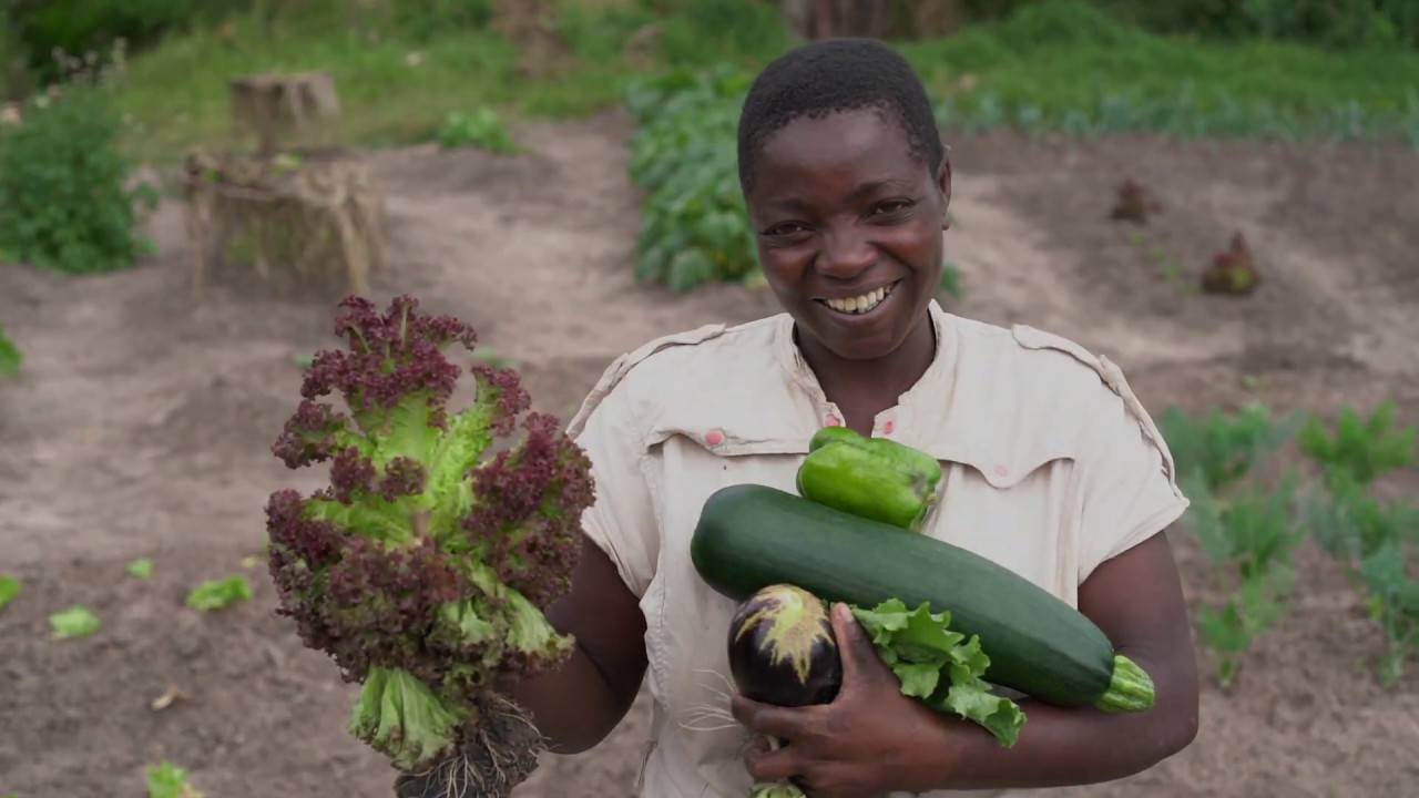 Vegetable Garden - Olakira Camp, Asilia Africa