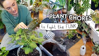 Anti-Anxt Relaxing + REALISTIC Plant Chores 🌱 Jar Smashing, Moss Pole Extending and Repotting