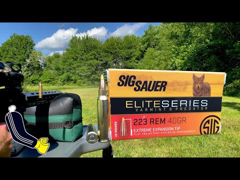 SIG Sauer .223 Rem Elite Series Varmint \u0026 Predator 40gr. THP//Ammo Velocity Test