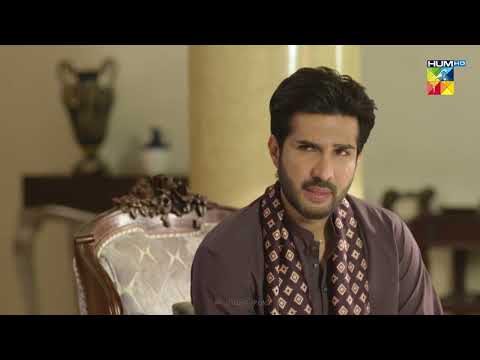 Be Lagam Ghorre Ko Khula Chorna Khatarnaak Hota !!  - Roag - HUM TV