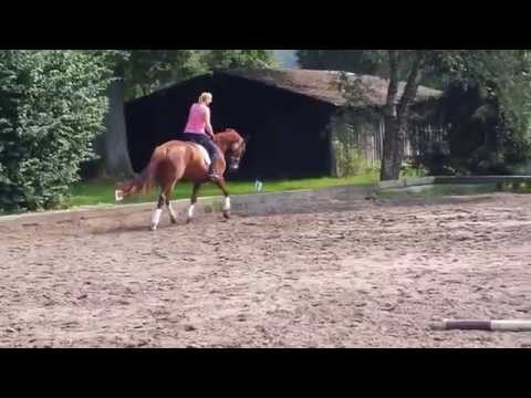 Rapunzel von Romanov-Donnerhall