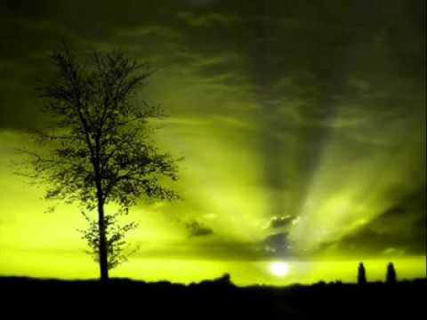 Diqqer Propy   DİLÂZÂD