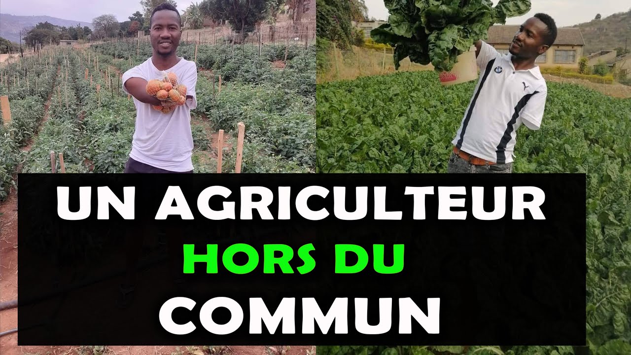 Née sans bras, Subisiso Mogale devient l'agriculteur le plus populaire de l'Afrique du Sud