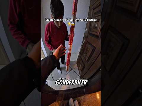 Dünyanın en uzun dürüm siparişi 😂😱 #shorts #reels #tiktok #keşfet #motovlog #viral #fyp #kurye