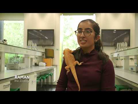 BSc Zoology play video