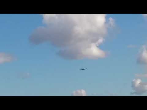 P-51D Mustang Loud Merlin and Insane Gun Port Whistle