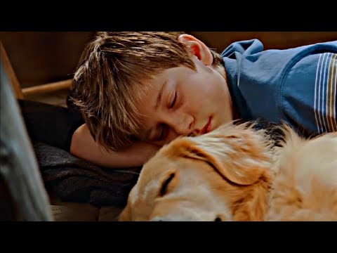 DOG'S MISCHIEF is murkier than I remembered...