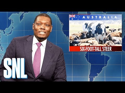 Weekend Update: Six-Foot-Tall Steer - SNL