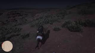 RDR2 5周目 #150