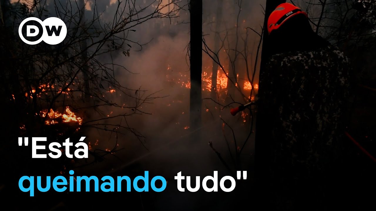 A corrida contra o tempo para evitar tragédia no Pantanal
