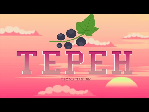 PAUCHEK - Терен (Lyric Video)