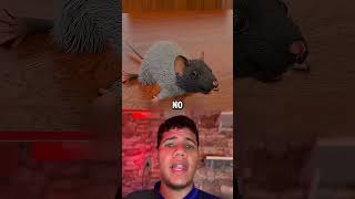 HAZLO EN TU CABEZA DE RATA! #sabiasque #tiktok #curiosidades