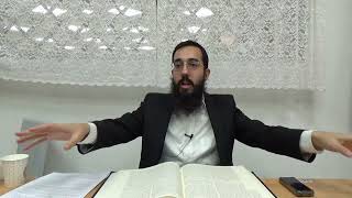 היכן היה עיבור עתיק ומה תפקידם של דדי בהמה | שער ז"א פרק א | שיעור חוזר חלק א הרב עמרם