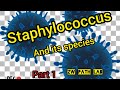 staphylococcus_and_Its_species_COAGULASE POSITIVE & COAGULASE NEGATIVE STAPHYLOCOCCI