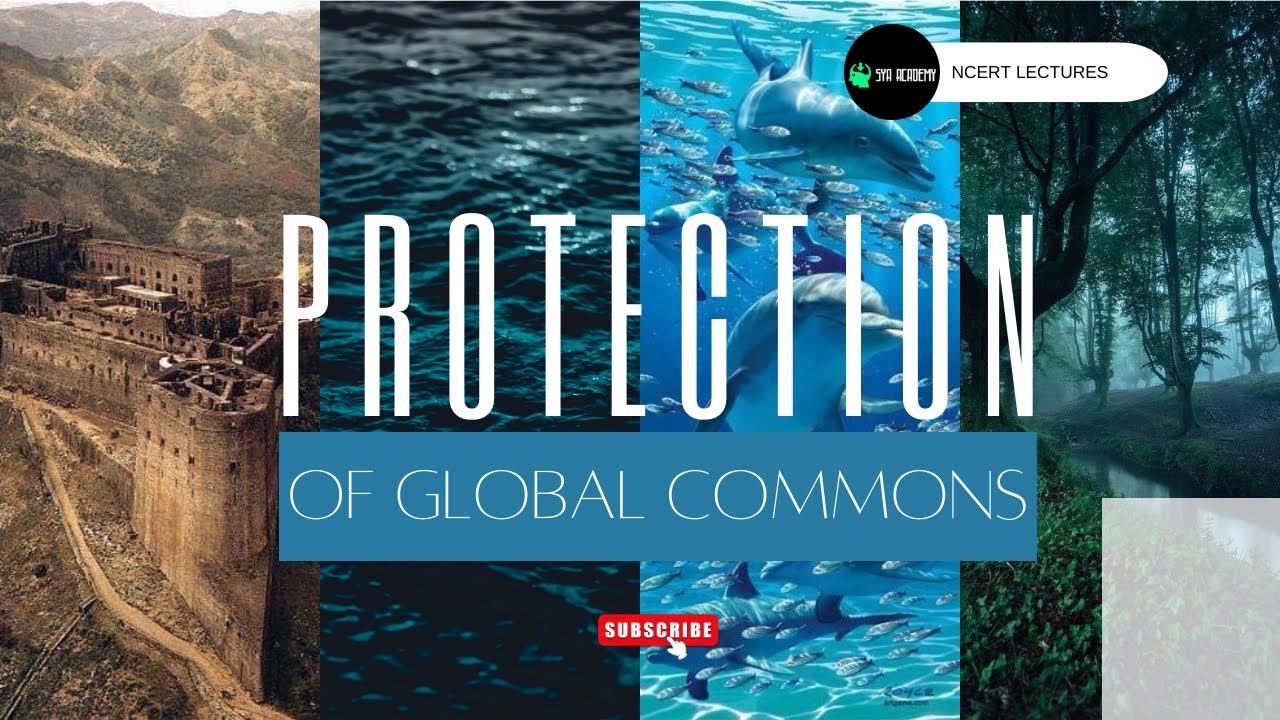 Protection of Global Commons ( What is Global Commons)| Class 12 | Political Science