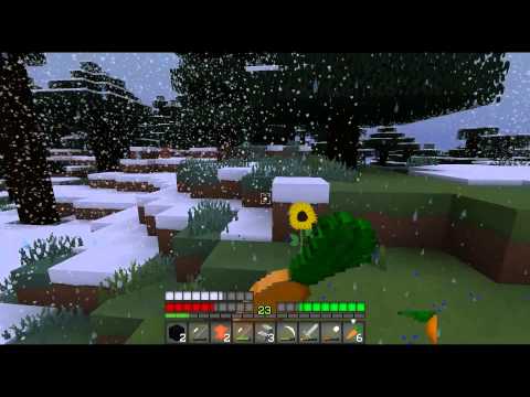 Minecraft : Relay Race [S02] - Folge 8 "Schönes Wetter"