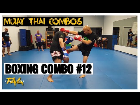T.A.G. Boxing Combo #12