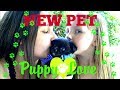 KAIA and SISSY get a NEW PUPPY! The TOYTASTIC Sisters! CUTE puppy VIDEO! YOUTUBE KIDS