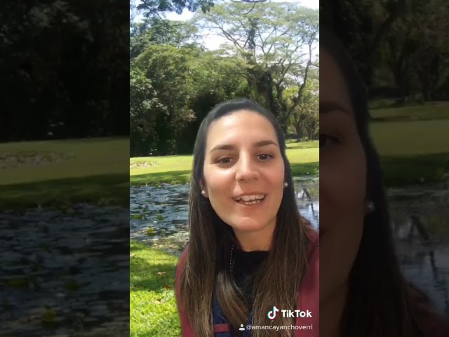 Vídeo relacionado con Ahfulife Pancartas de Pascua, Happy Easter Decora la Bandera del Conejo Decoración de la Reunión Familiar de Remolino Colgante de Papel, Huevos de Pascua y Adornos de Zanahoria (Estilo 1)