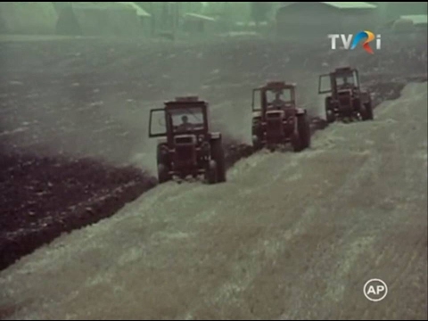 Agricultura de odinioara (Epoca de Aur) Cooperativa Agricola De Productie (C.A.P)