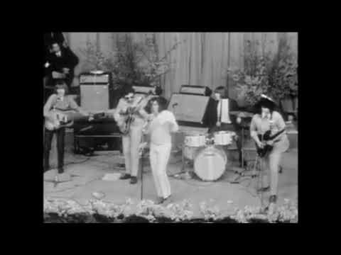 The Pretty Things - Honey I Need (live at Blokker, April 1965)