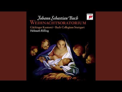 Christmas Oratorio, BWV 248: 19. Aria - Schlafe, mein Liebster, geniesse der Ruh