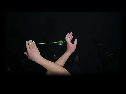 ビー・アンド・バタフライ