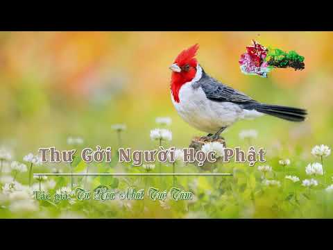 Chương 07: Thư Gởi Người Học Phật