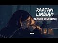 Raataan Lambiyan - Lofi (Slowed + Reverb) | Jubin Nautiyal, Asees Kaur | DSLofiVIBES