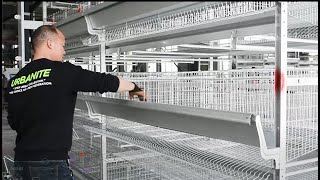 Download lagu A Few Minutes to Teach You How to Install Automatic H-Frame Layer Battery Chicken Cage System mp3