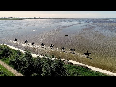 Säker med häst rider ut hos Klagshamns RF.