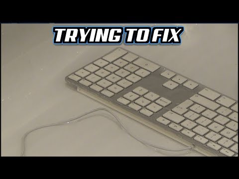 Trying to FIX : Faulty Apple Keyboard Model A1243 purchased on eBay