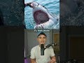 How To Survive Animal Attacks
