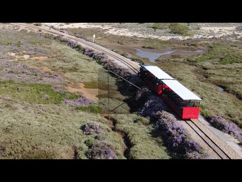 Comboio para Praia do Barril  Algarve  Portugal