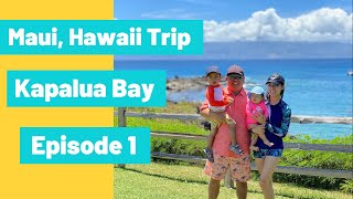HAWAII/SNORKELING/KAPALUA BAY