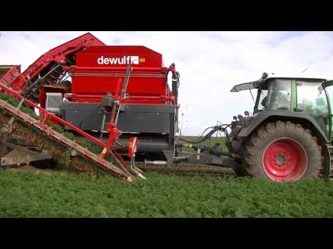 Dewulf GBI - 1-row trailed top lifting harvester with bunker
