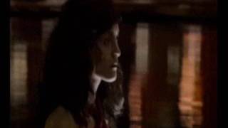 The Butterfly Effect: Phoenix