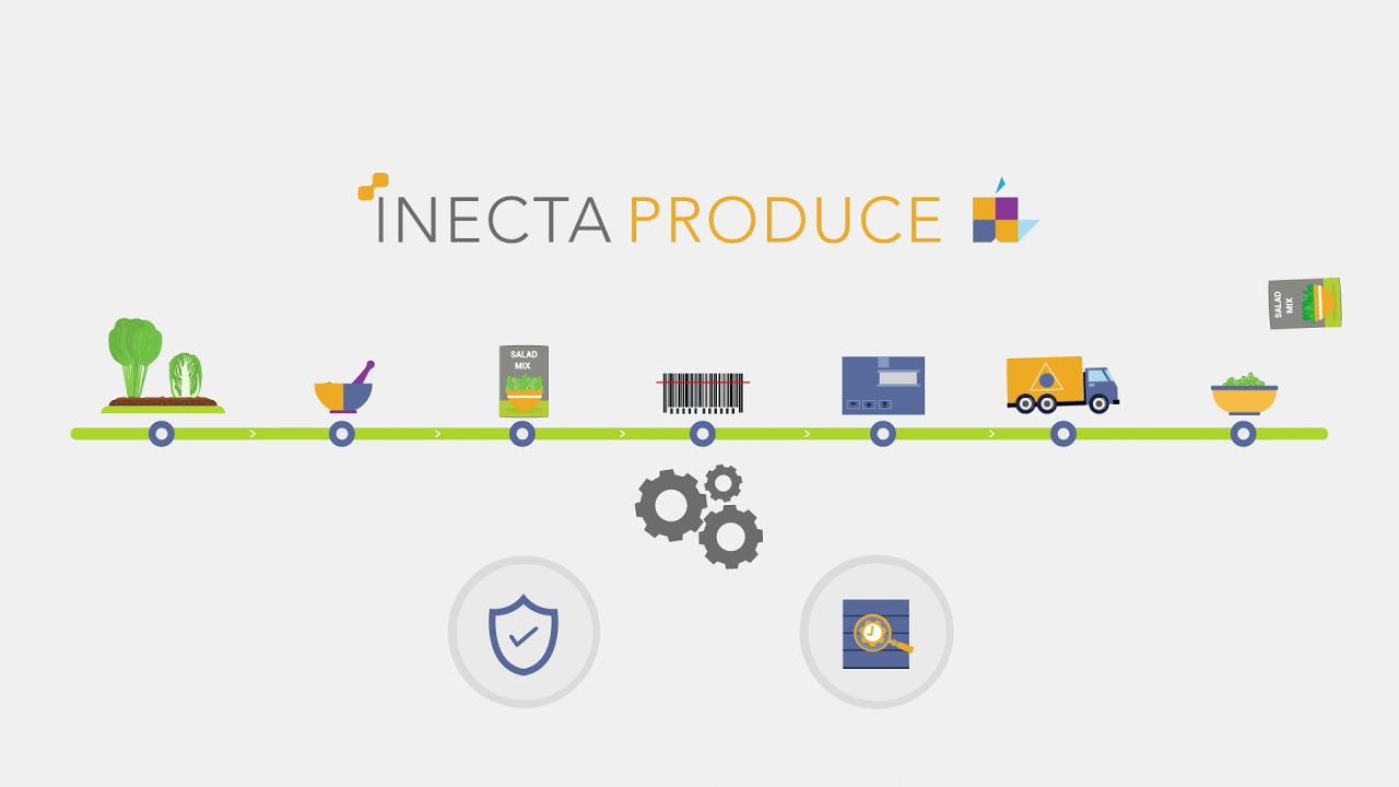 Produce ERP Software - Inecta