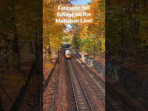 Fantastic Fall Foliage on Boston’s Mattapan High Speed line
