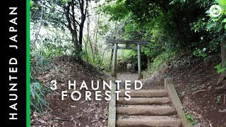 Haunted Japan: 3 Haunted Forests