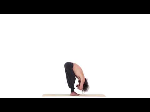 Eléphant - Gaja Asana