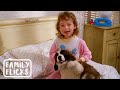 The New Puppy Opening Scene Beethoven 1992 Family Flicks