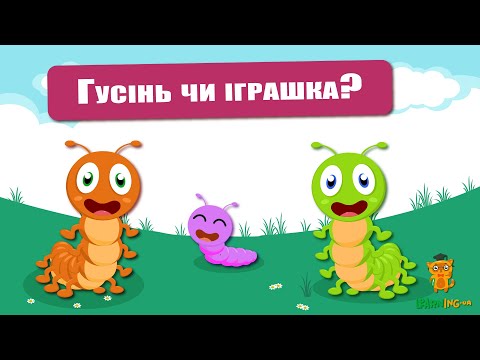 🍀 Дива природи. Явища навколо нас. Іграшкові лічинки метеликів Papilio troilus🌏