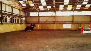 Me and my pony jumping 3ft!